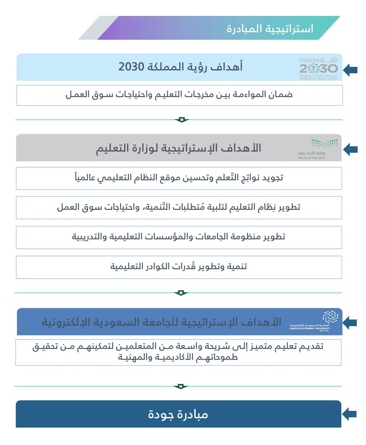 استراتيجية المبادرة