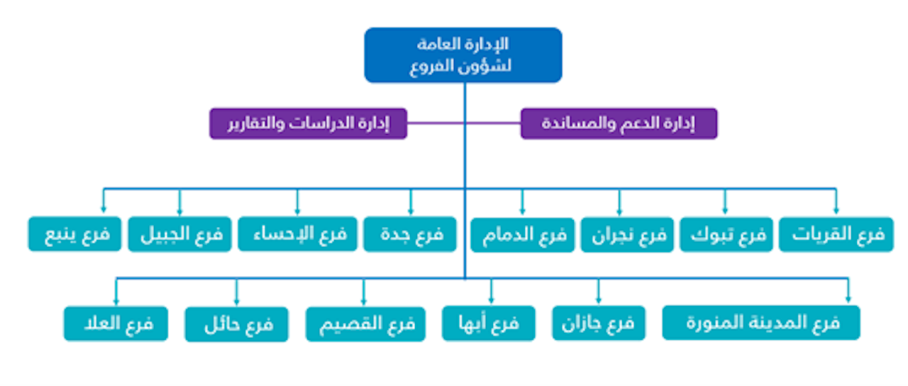 الهيكل التنظيمي لشؤون الفروع